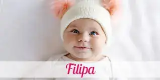 1746572569025.webp