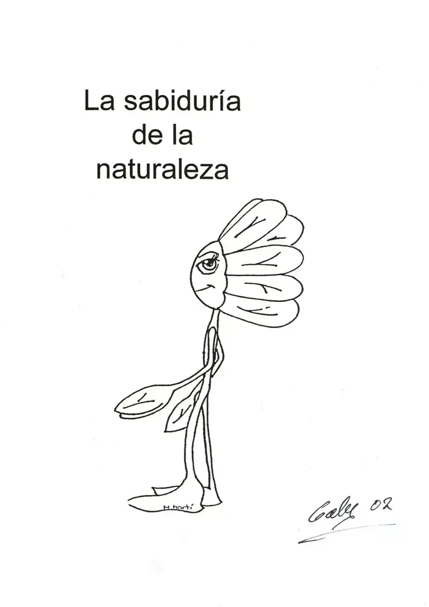 1751960647810.webp