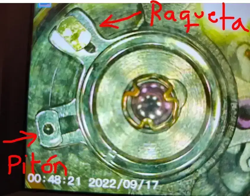 1757250552619.webp