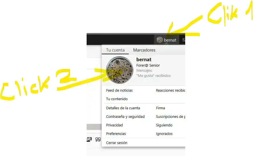 1758914438843.webp