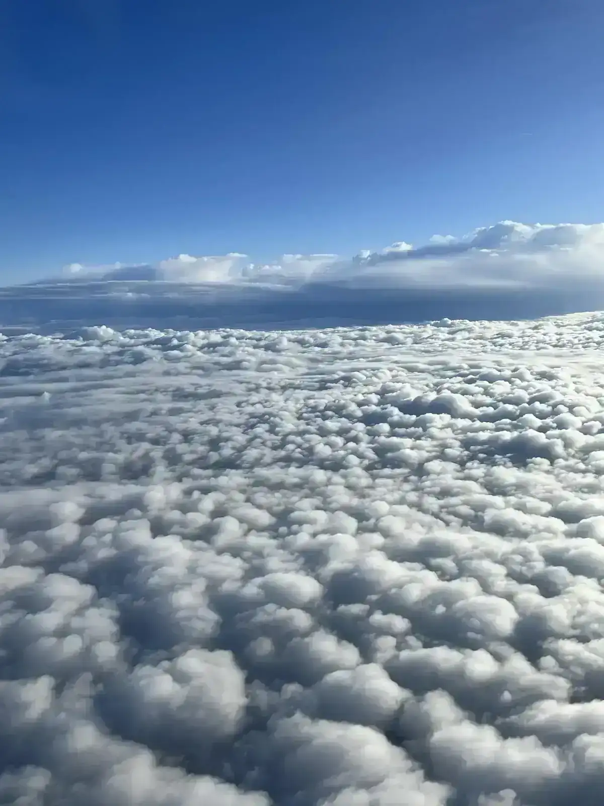1759489631848.webp