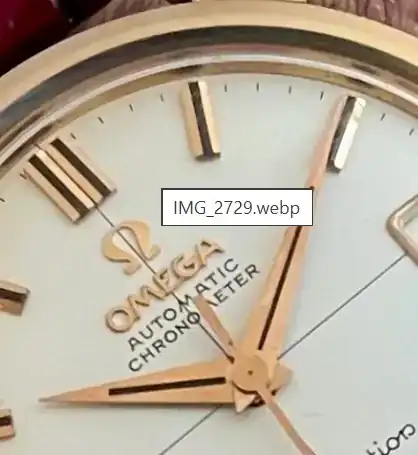 1759739999746.webp