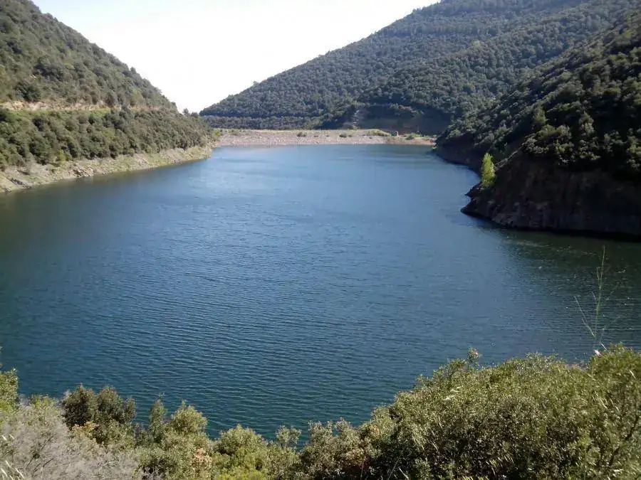 176.webp
