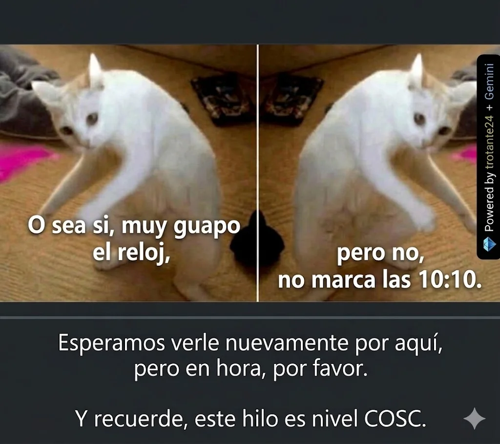 1778579024420.webp
