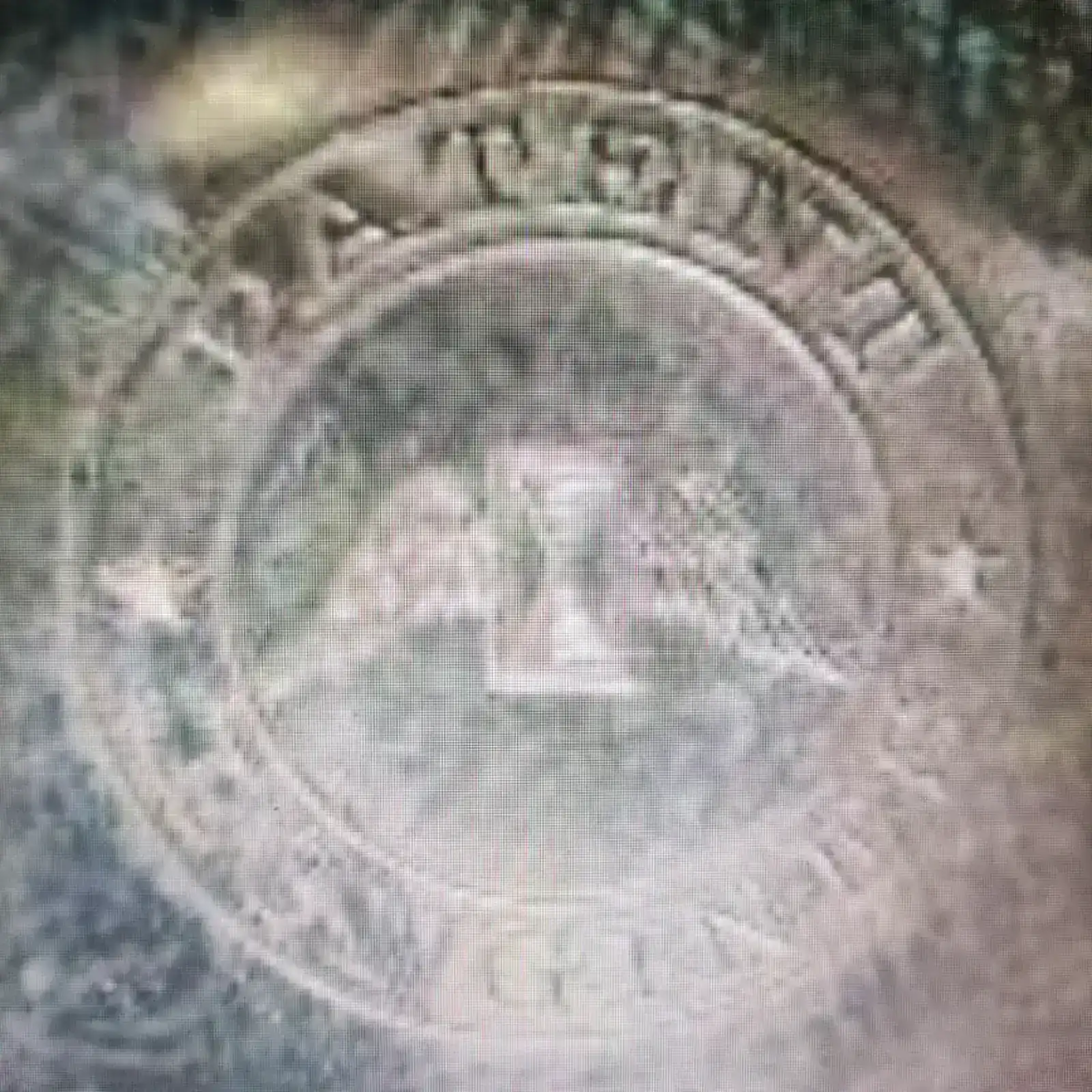 1779613303292.webp