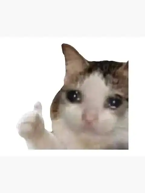 1780196974740.webp