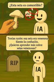 1780346082766.webp