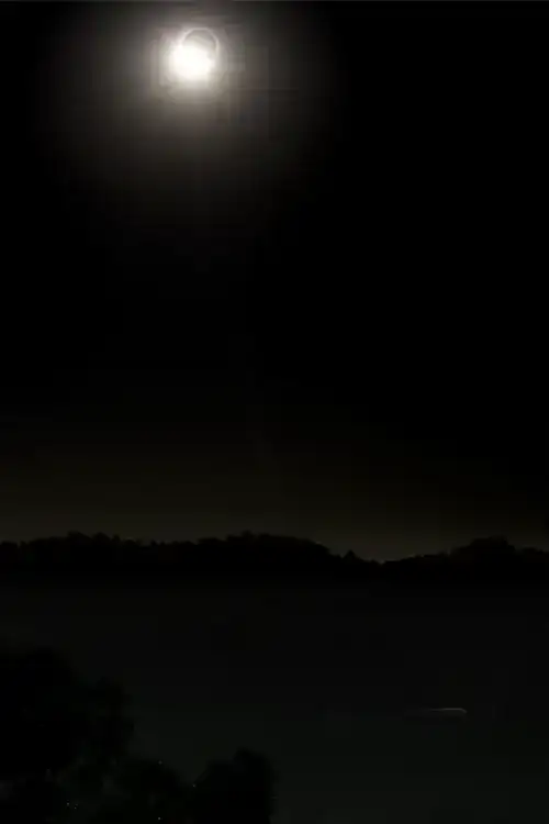 1786607982280.webp