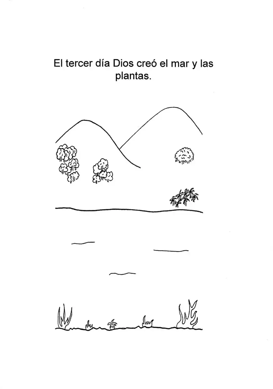 1788077562152.webp