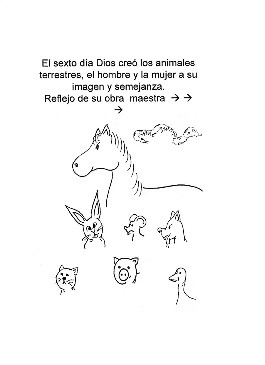 1788078017470.webp