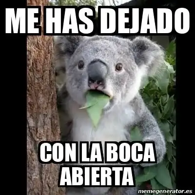 1788310656166.webp