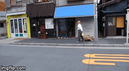 17qrdk.gif