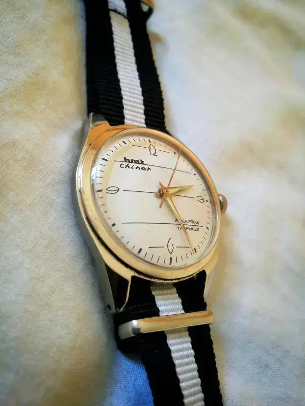 18020770 240 HMT CHINAR.webp