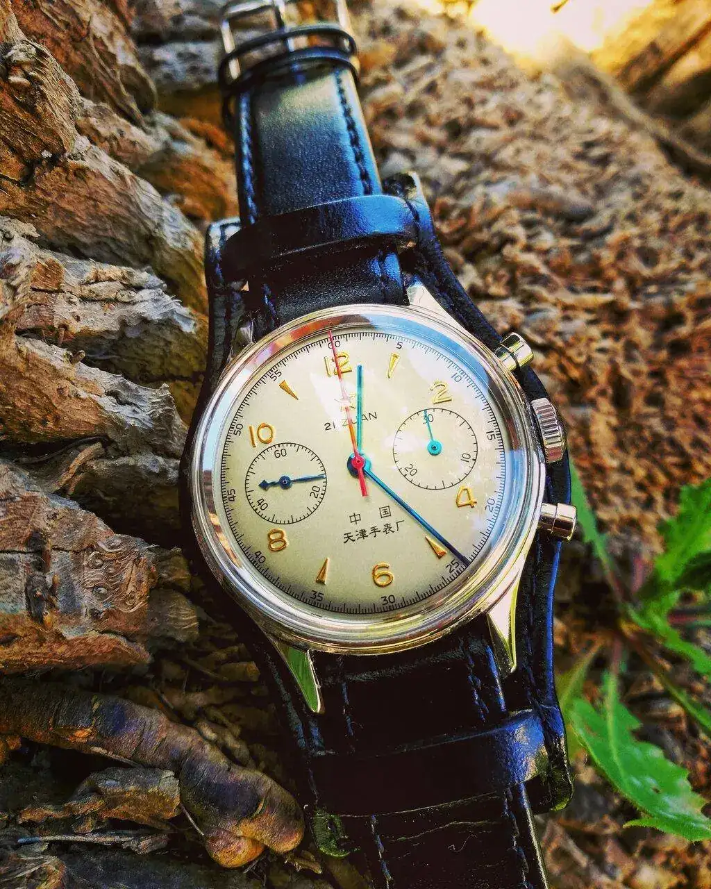 18041870 209 SEAGULL 1963.webp