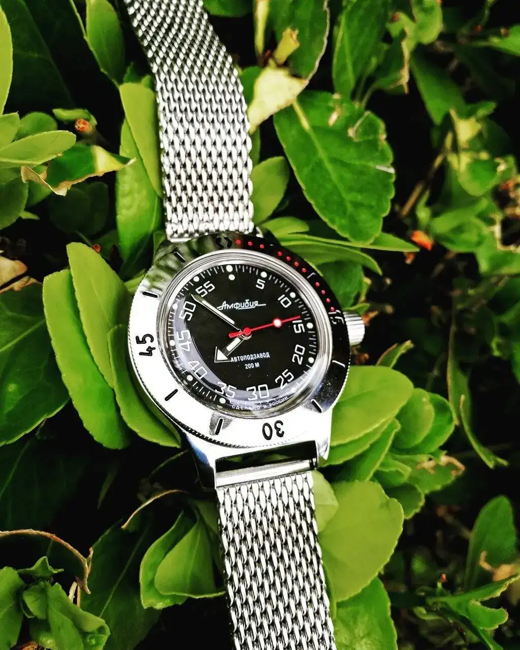18051870 140 VOSTOK AMPHIBIA100654.jpg