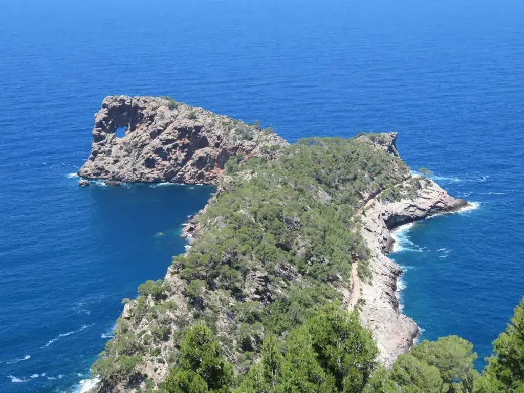 18061345 535 Excursión a Sa Foradada.webp