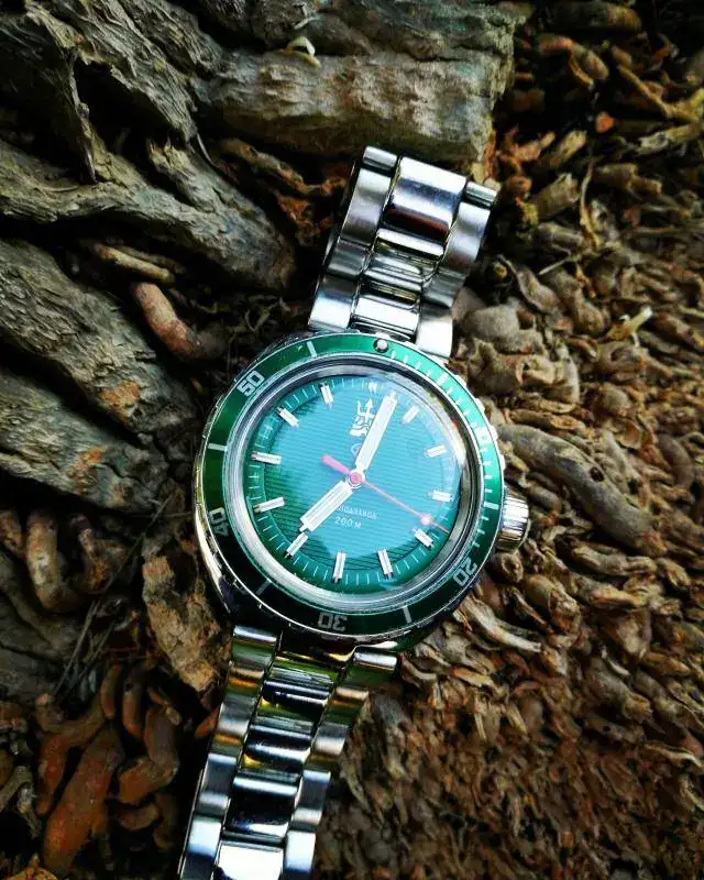 18061570 300 VOSTOK AMPHIBIA NEPTUNE _ 960727 _ HULK.webp