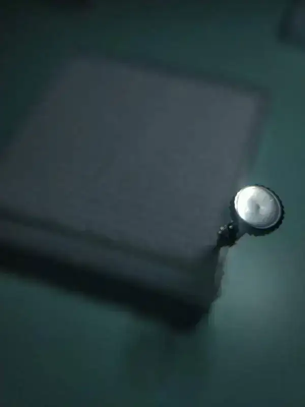 1878305445.webp