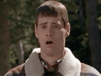 190036CF-2C09-4633-8B47-B1F467C0EA00.gif