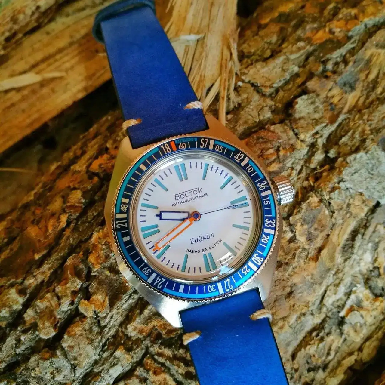 19011270 125 AMPHIBIA SE 650B08 BAIKAL.webp