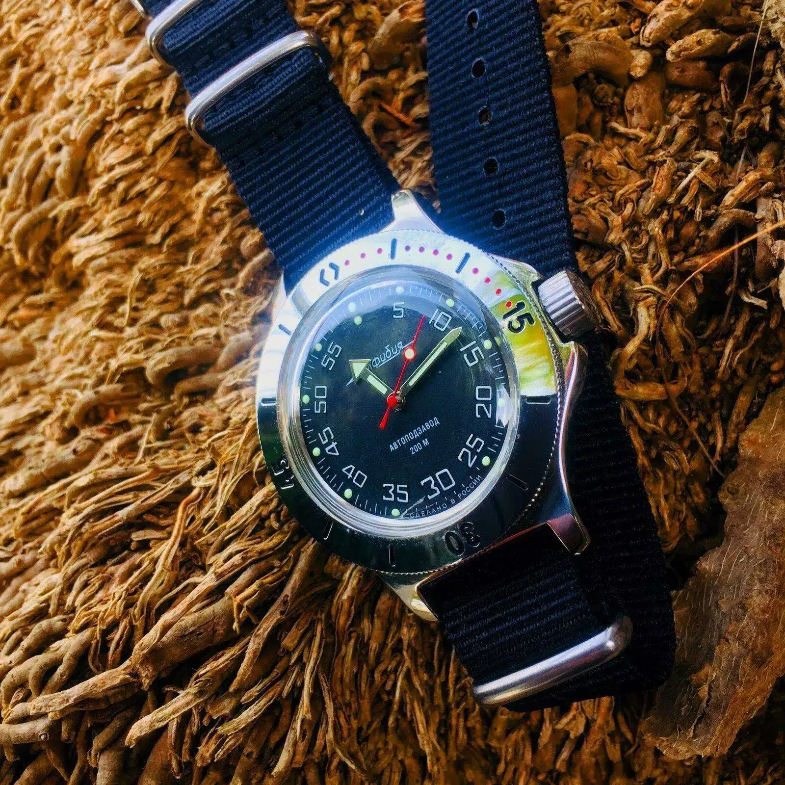 19040870 140 VOSTOK AMPHIBIA100654.webp