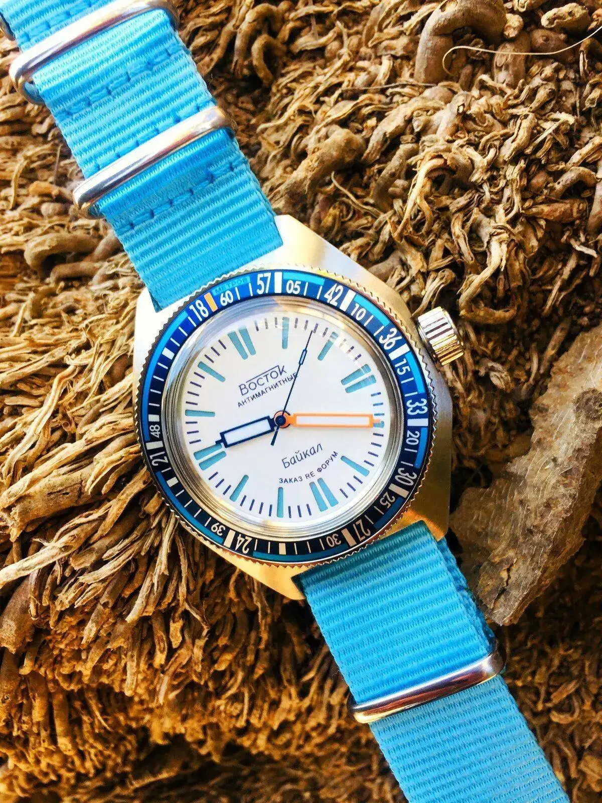 19051170 215 AMPHIBIA SE 650B08 BAIKAL.jpg