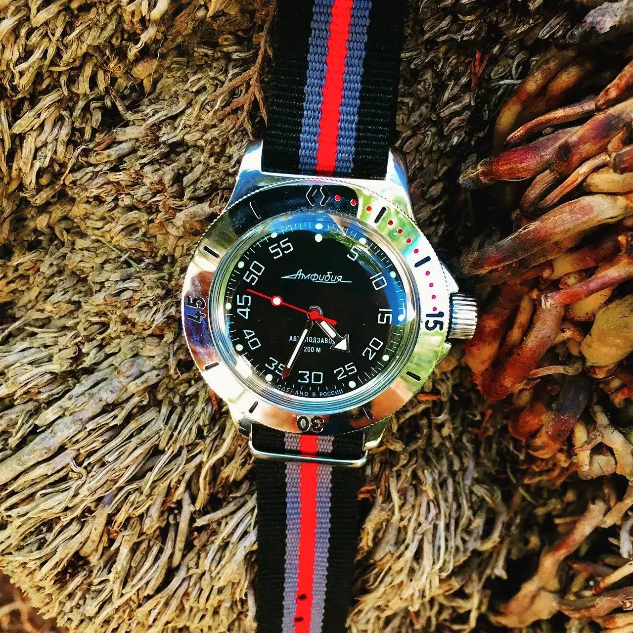 19110370 140 VOSTOK AMPHIBIA100654.jpg