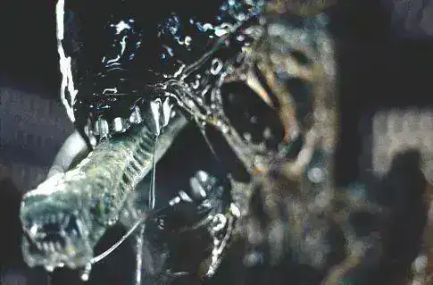 1979_alien_015.webp