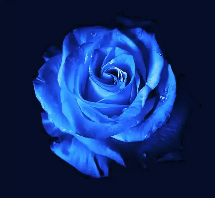 1_06pUVyk2zWqGNCiUFjDPKQ.webp