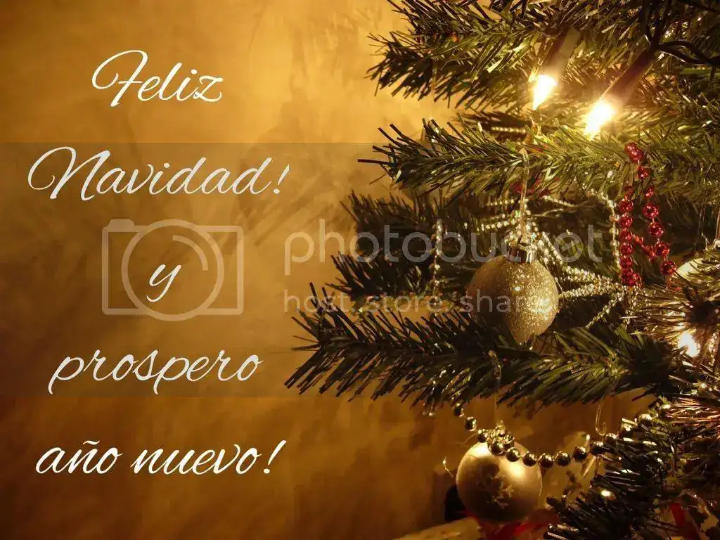 1B04B184-67CC-46B1-9782-B9BCE3EB1462_zpshujv06cz.webp