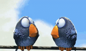 1E90404F-E55E-497F-8052-D63E609F9B5F.gif