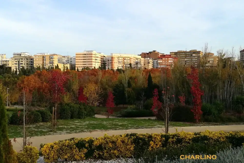 2-IMG-20241123-170835.webp