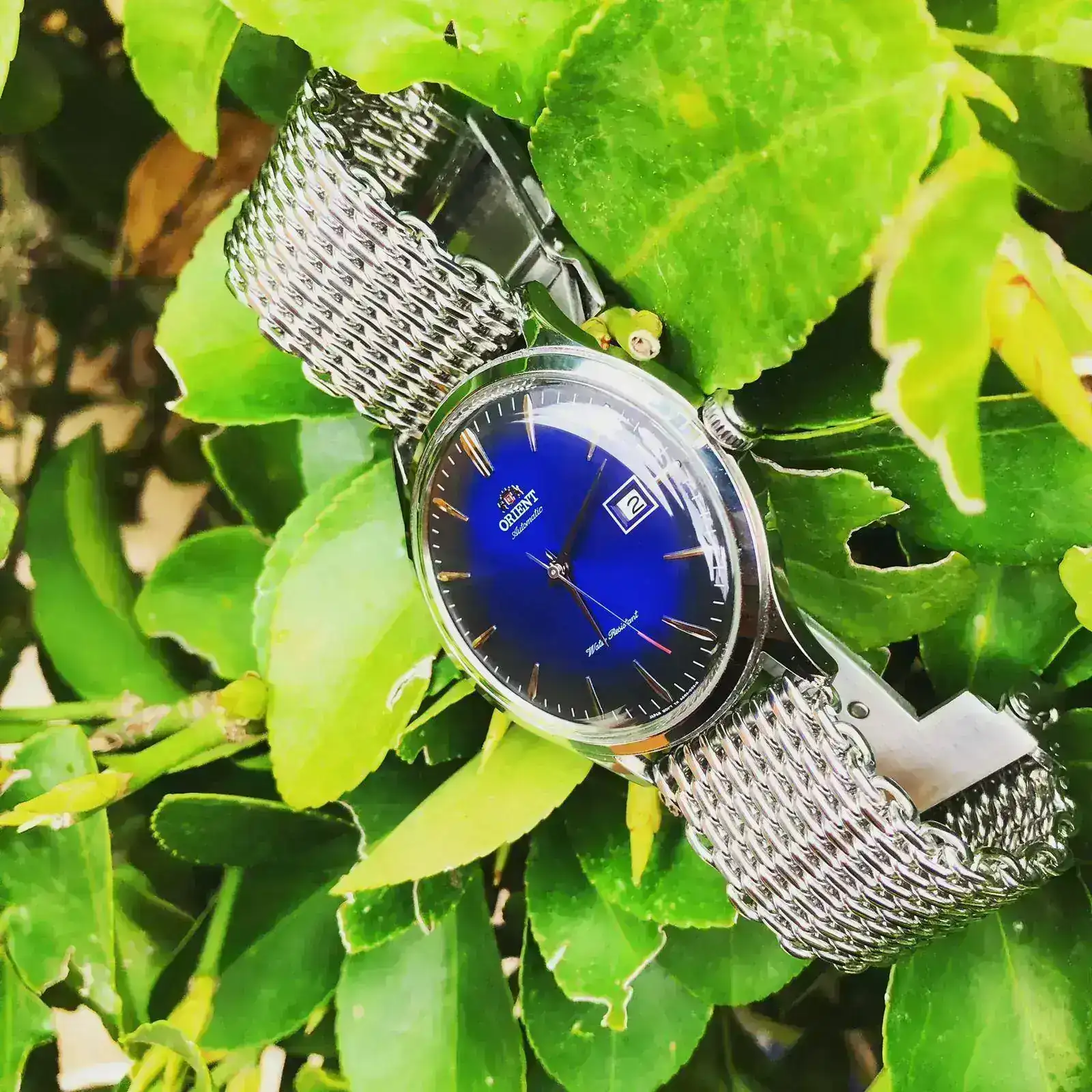 20040290 120 ORIENT BAMBINO V4 FAC08004D0.jpg