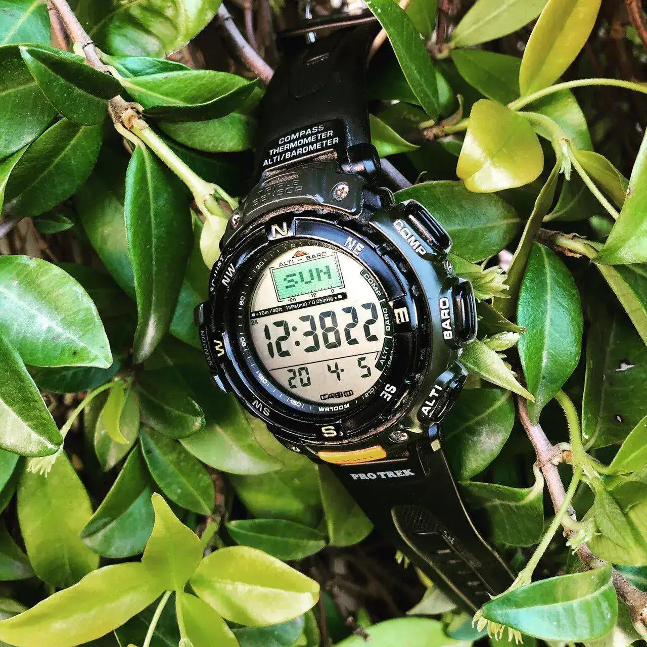 20040510 130 CASIO PRO TREK PRG 40_ 2271.webp