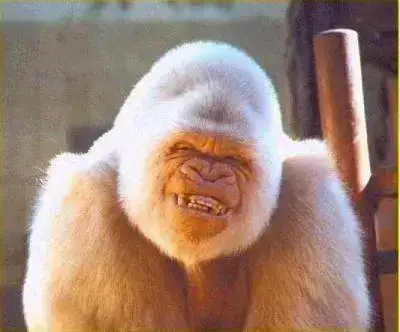 20070220011720-sonrisa.webp