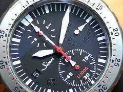 20090306366.webp