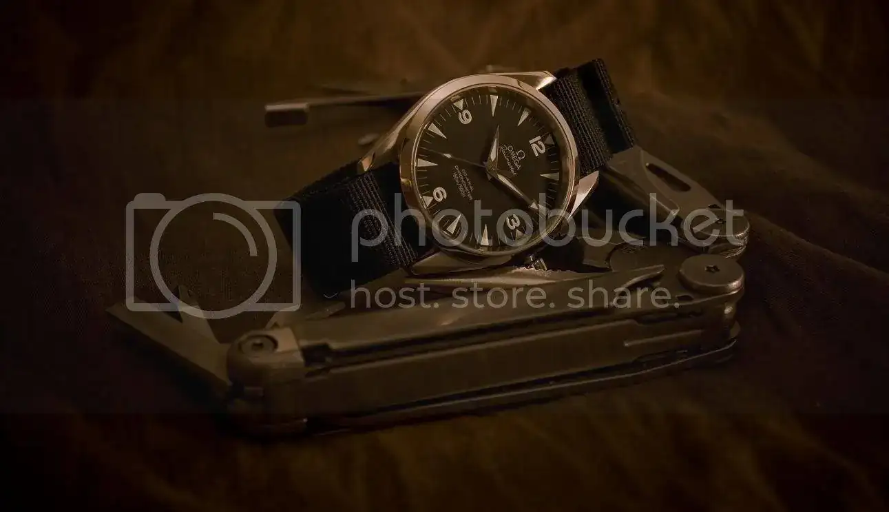 20090314-DSC_0063.webp