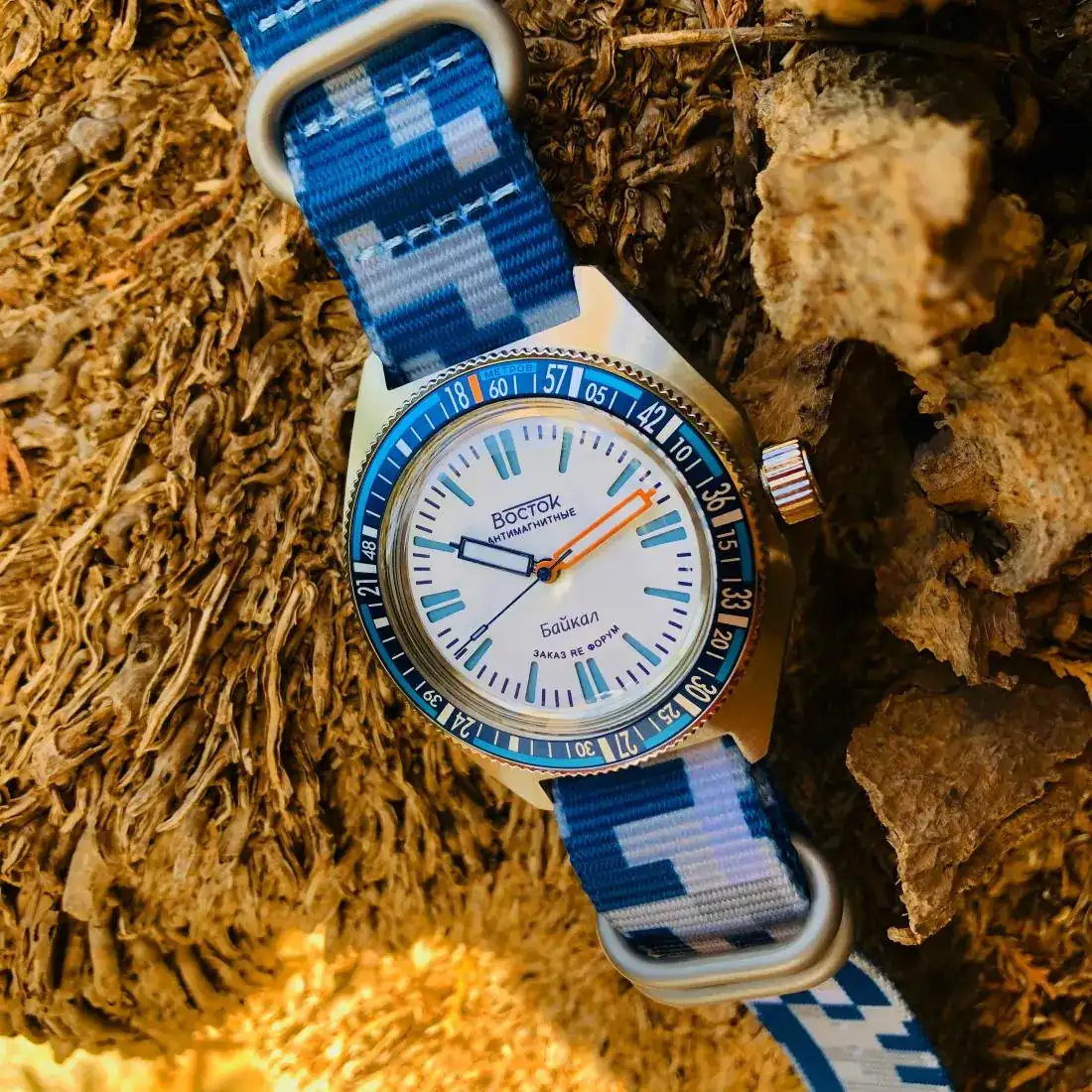 20091970 215 AMPHIBIA SE 650B08 BAIKAL.webp