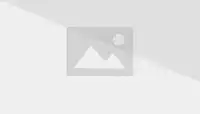 200px-Logo-rolex.webp