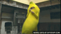 200w%2012_zpsrq0kkrpy.gif