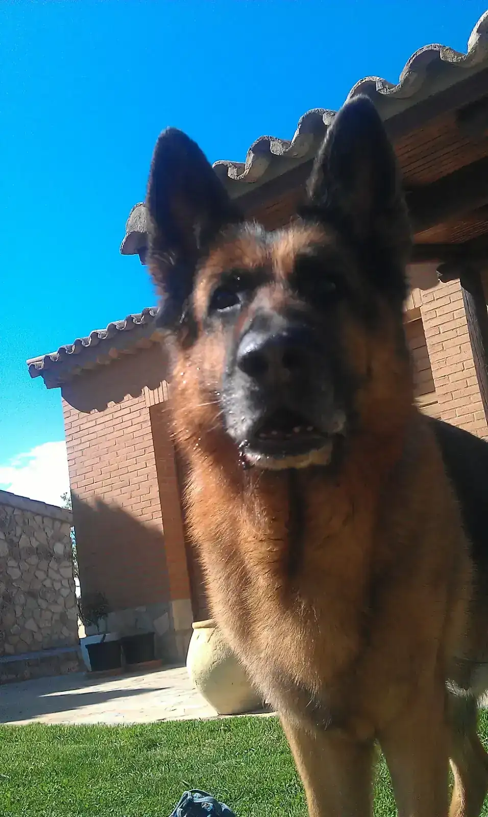 2012-05-06 17.07.35.webp