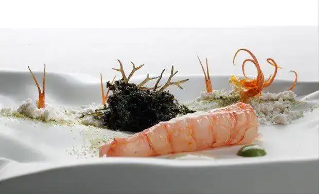 2012-profile-elceller-dish-01.webp