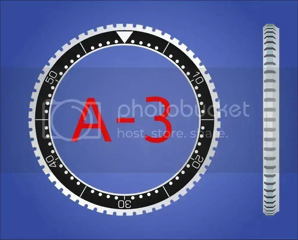 20120603BISELESA3.webp
