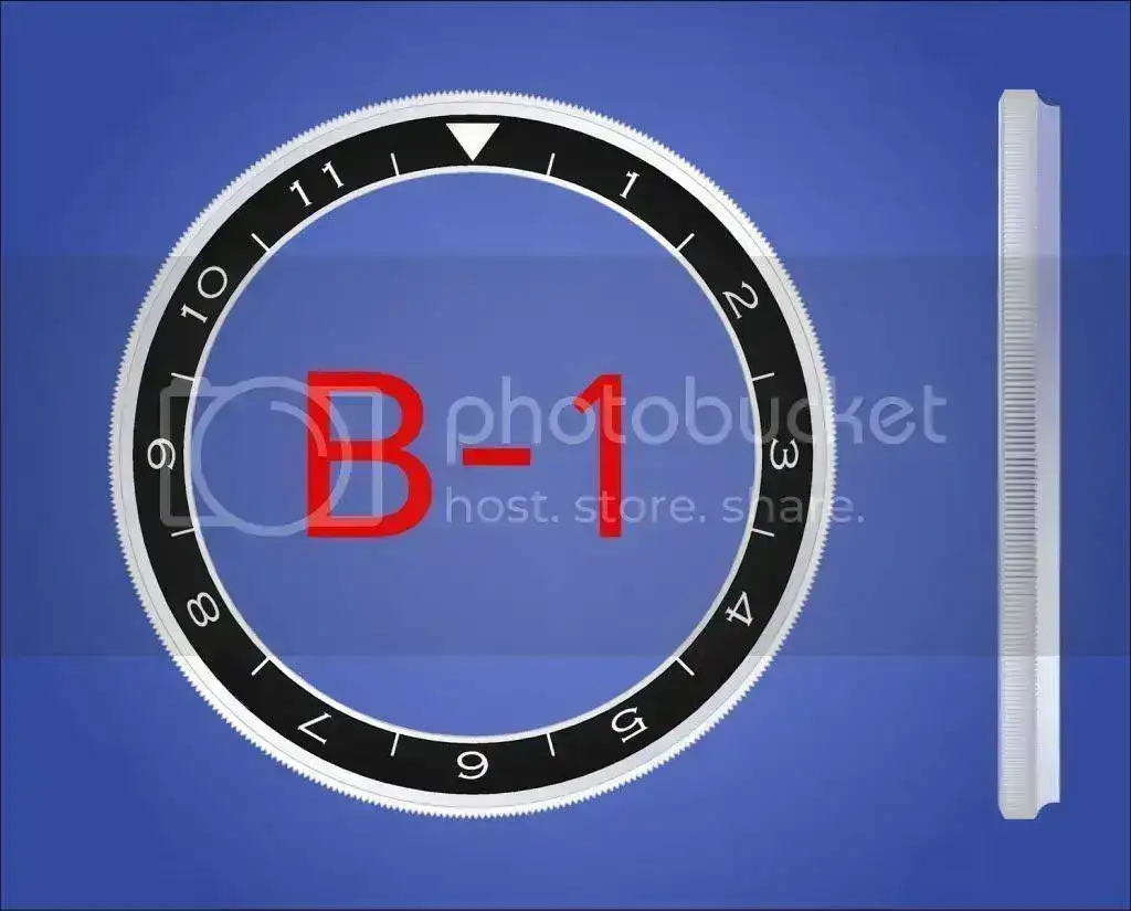 20120603BISELESB1.webp