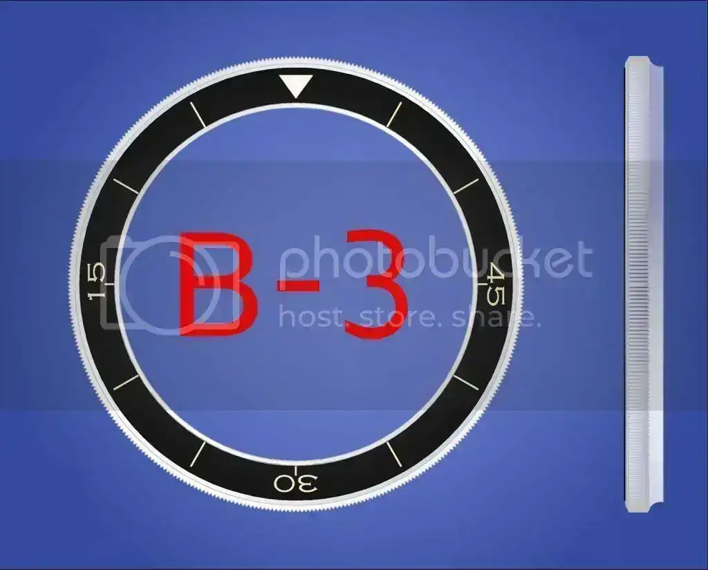 20120603BISELESB3.webp