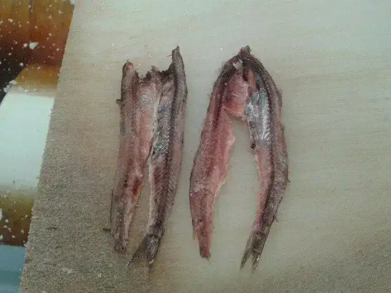 20120615115643.webp