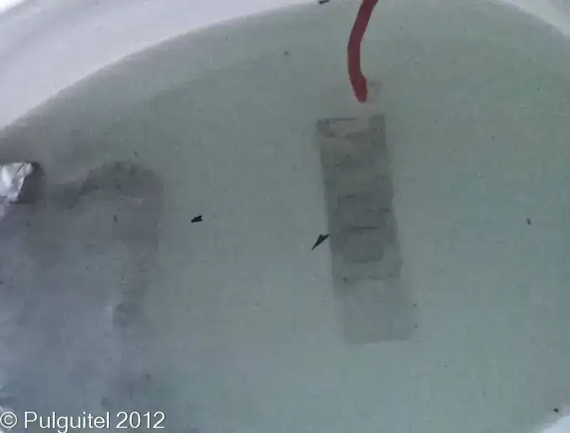 20121118_104345.webp