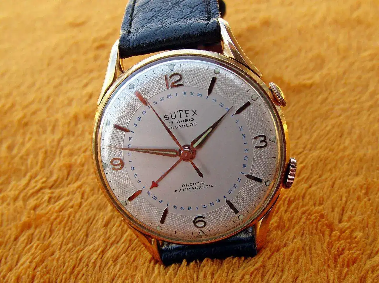 2013 Butex Alertic I.webp