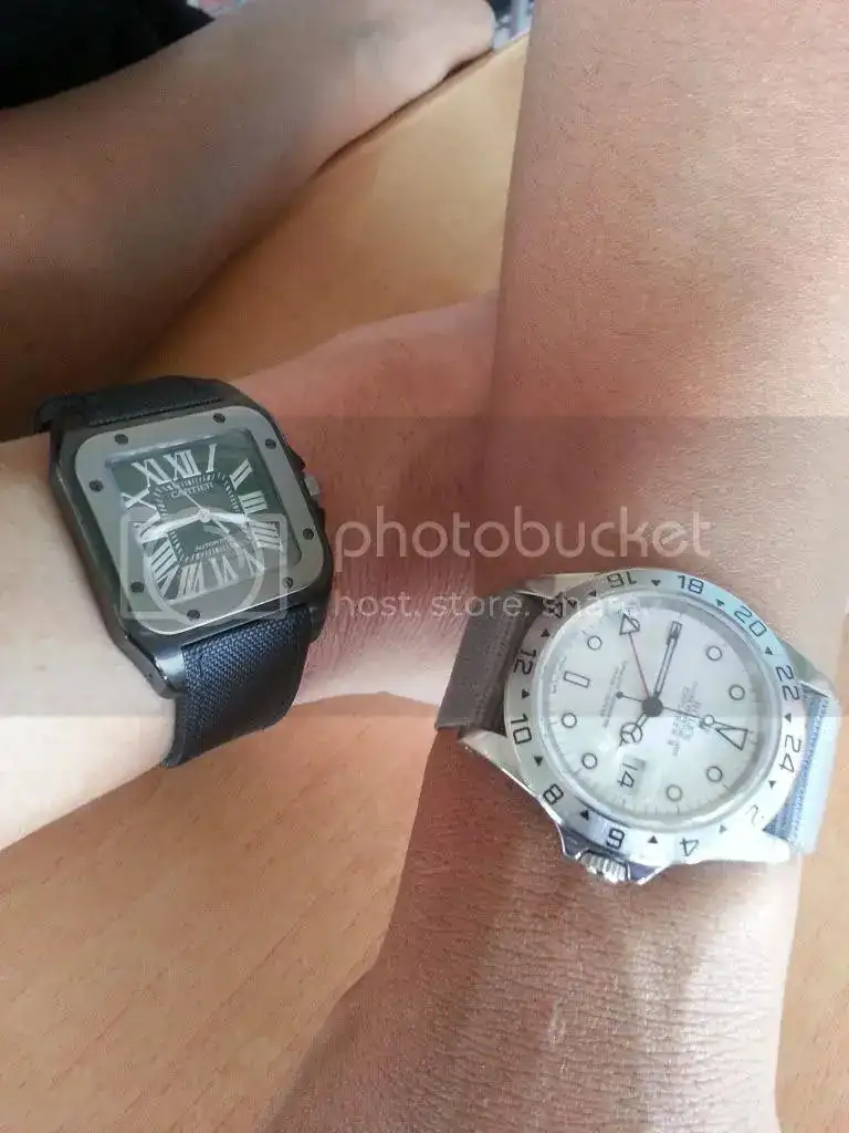 20130314_154456_zpsda52dc3c.webp