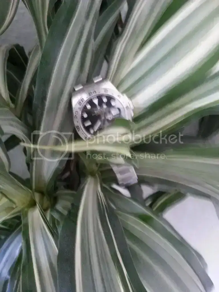 20130510_153906_zps60ff3239.webp